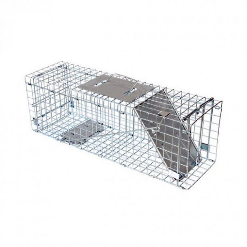 answer-cage-trap-small